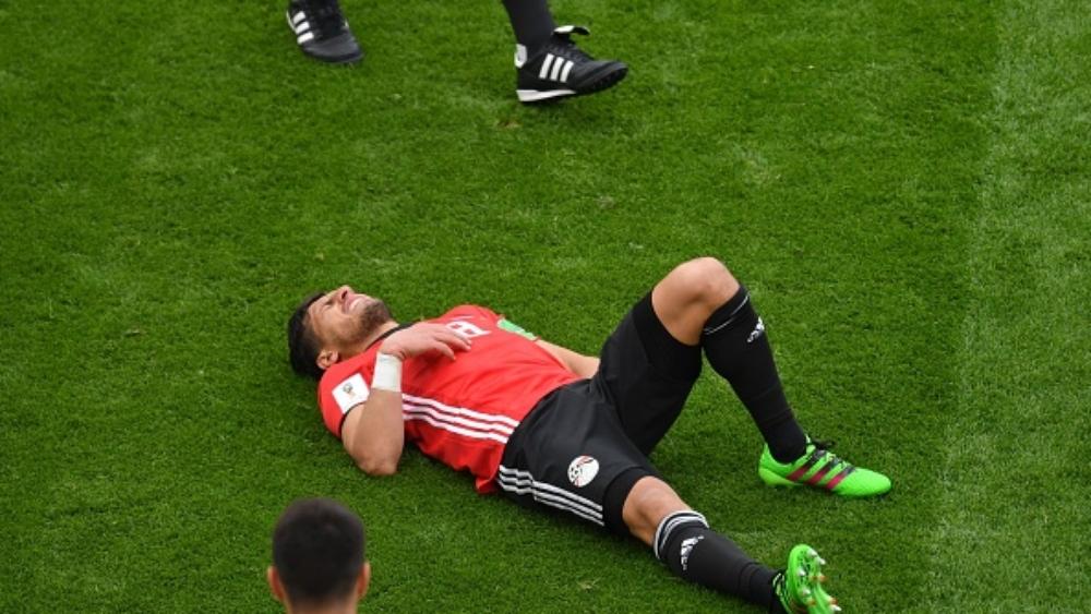 حامد وتريزيجيه مُصممان على مواجهة الدب الروسي