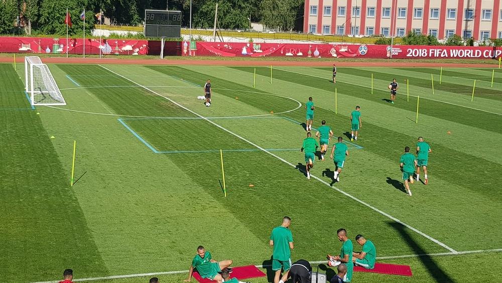 تغيير البرنامج الإعدادي للأسود بسبب الأمطار الغزيرة التي تهاطلت على مدينة كاليننغراد