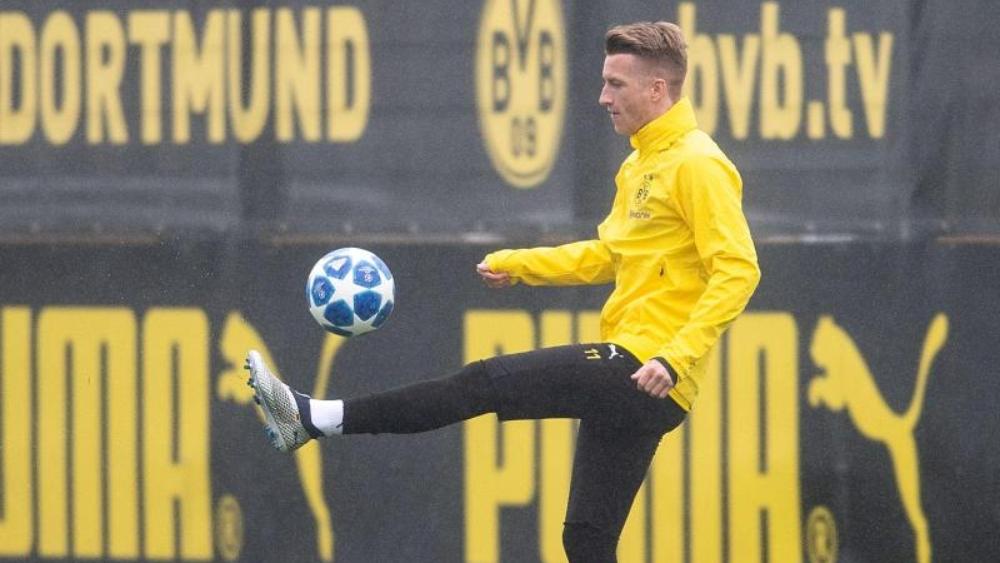 دورتموند: رويس سيعود إلى الملاعب قريباً