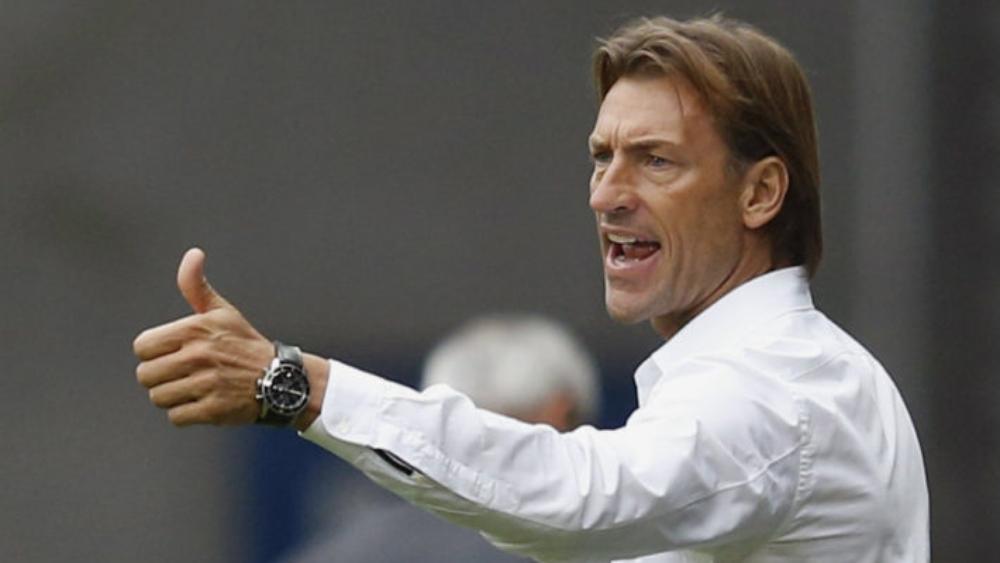 هيرفي رونار يهنئ النهضة البركانية بانتصارها على الزمالك..ويردد :"فوز ثمين"