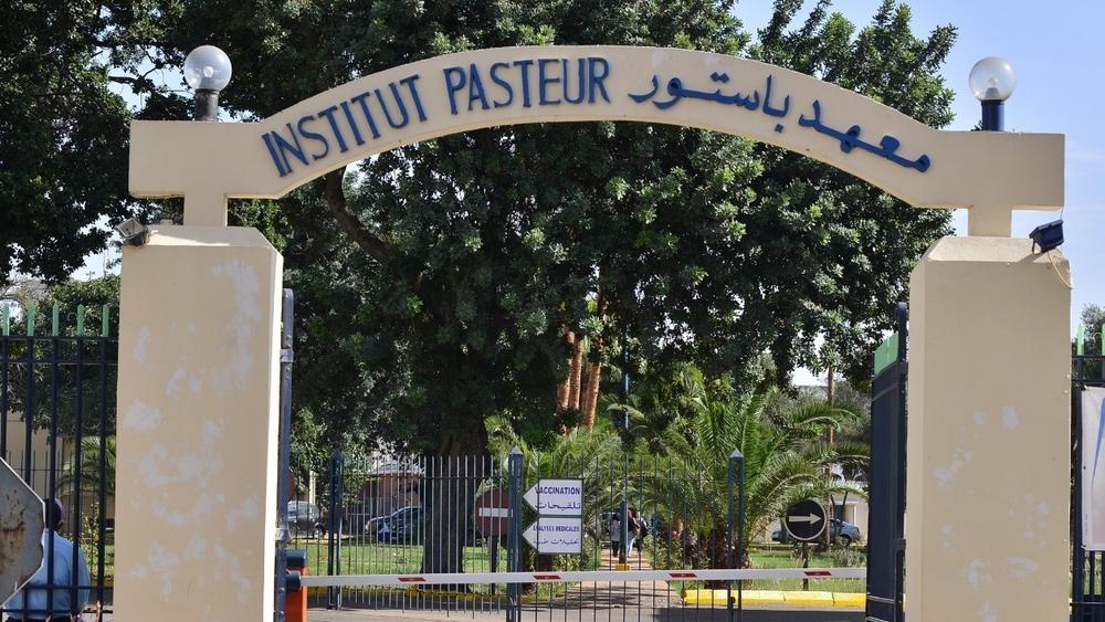معهد باستور يتخذ تدابير قانونية لمتابعة مروج تسجيل صوتي ينصح المواطنين بالمعاشرة الجنسية اليومية للقضاء على فيروس كورونا
