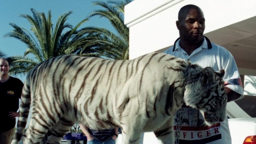 تايسون: "دفعت 250 ألف دولار لفتاة اعتدى عليها نمري"