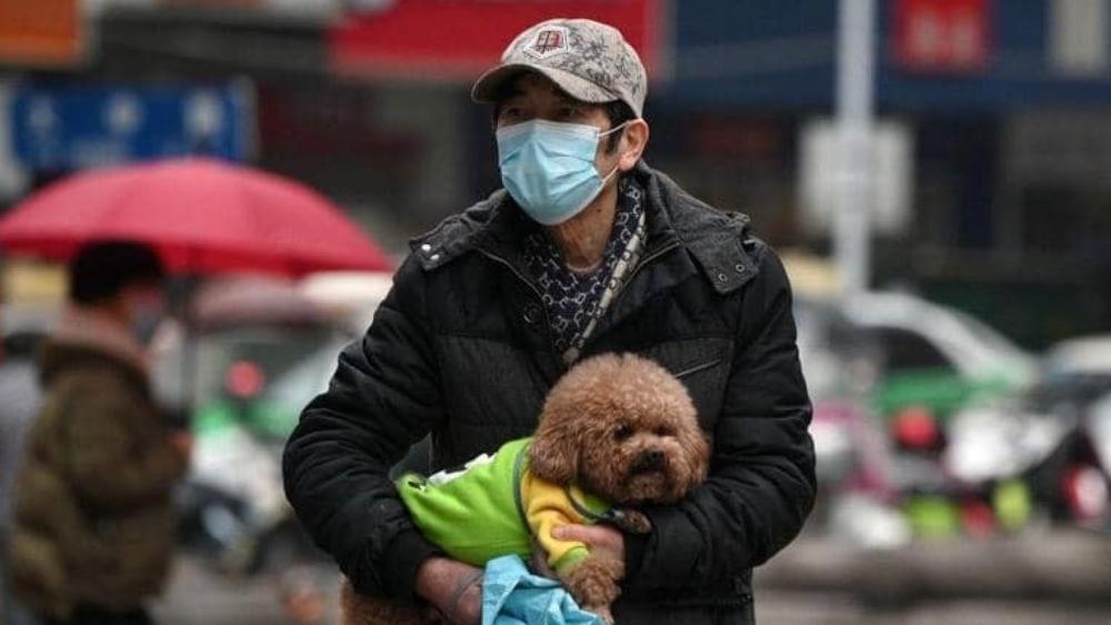 بكين تمنع تناول الحيوانات البرية كـ"إجراء وقائي" ضد فيروس كورونا