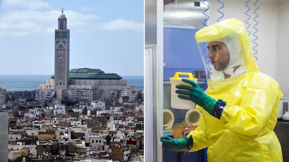 المغرب يسجل 29 حالة إصابة بوباء "كورونا" من أصل 2479 تحليلًا مخبريا في آخر 18 ساعة