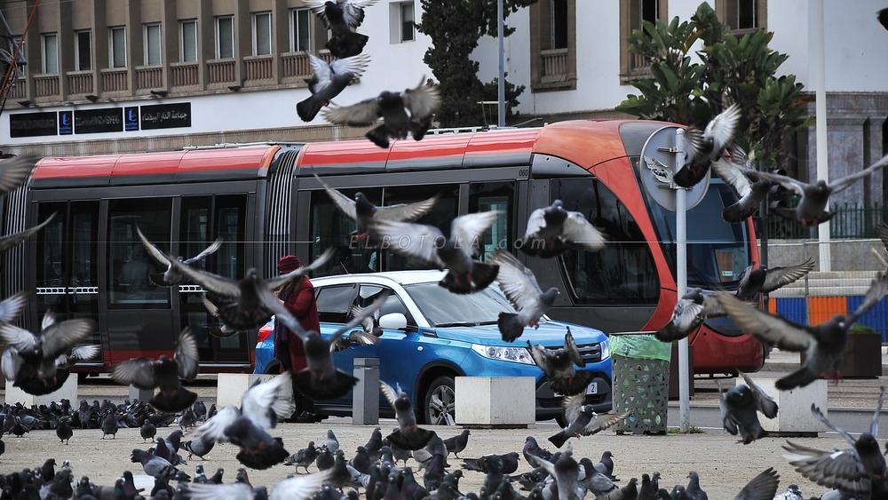 الدكتور بنطلحة أستاذ العلوم السياسية لـ"البطولة": "رفع الحجر الصحي الكلي لن يخدم مصلحة المغرب و سلوكيات بعض المواطنين ساهمت في انتشار وباء كورونا "