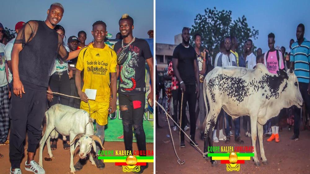"طرائف أفريقيا".. لاعب نانت "خليفة كوليبالي" ينظم بطولة في مالي ويمنح "بقرة" للهداف و"كبشا" للوصيف!