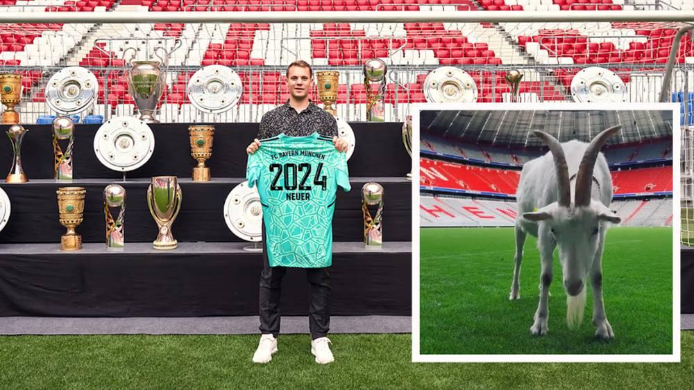 رسميًا / بايرن ميونخ يُعلن عن تجديد عقد مانويل نوير بطريقة فريدة من نوعها مُستخدمًا “عنزة”