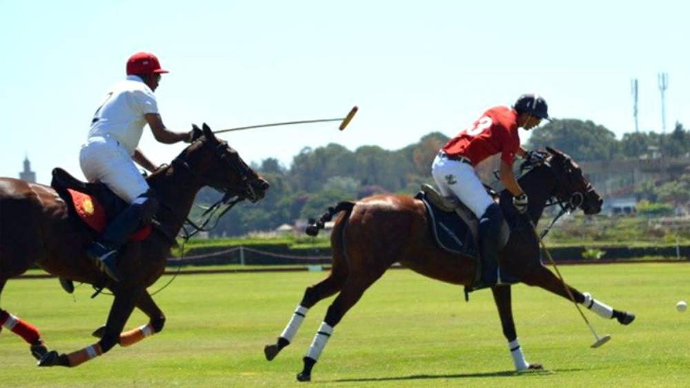 Coupe du trône de polo : la première édition du 15 au 18 septembre