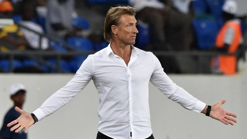 Belgique - Hervé Renard dément sa candidature