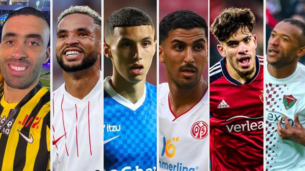 Exclusif - Le tour du Monde des Lions #2