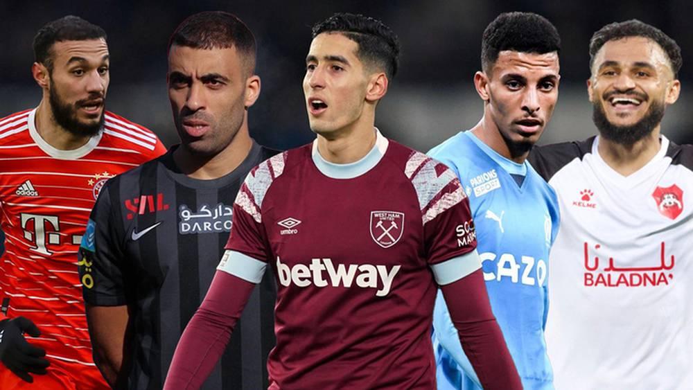 Exclusif - Le tour du Monde des Lions #9