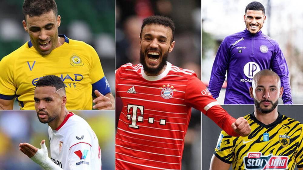 Exclusif - Le tour du Monde des Lions #18