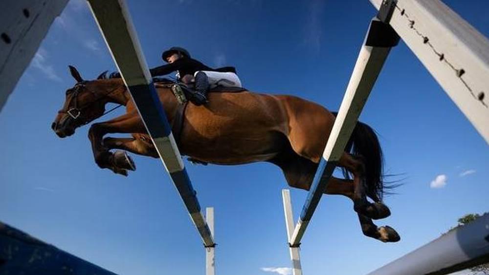 Sports Équestres - Rabat accueillera la 17ème cérémonie du Trophée Maroc Equestre