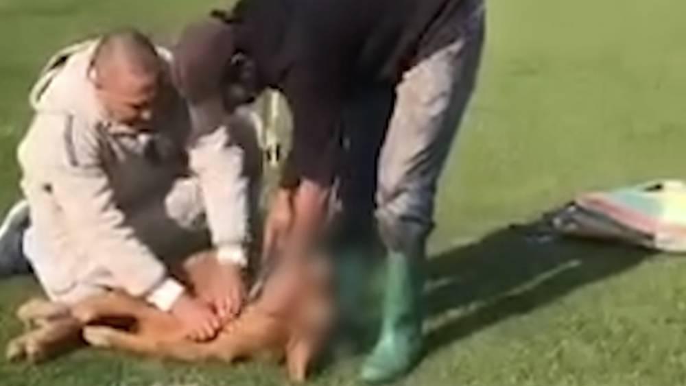 النادي القنيطري: "ذبح عتروس بالملعب البلدي كانت بمبادرة شخصية من عضو ومنخرط بالنادي ولم تكن بنية الإساءة للجماهير"