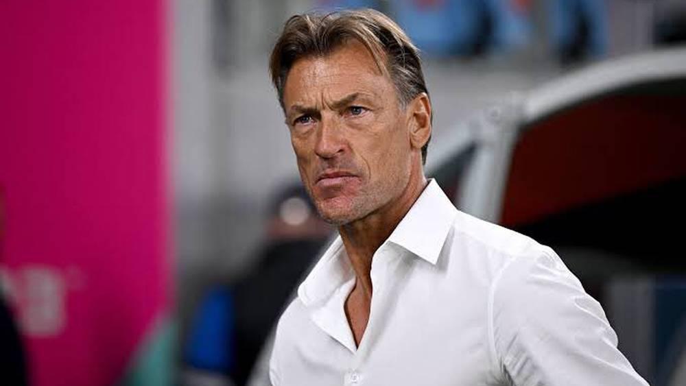 من بينها الجزائر وغانا.. هيرفي رونار يتحوّل إلى "مطلب جماهيري" لقيادة إحدى المنتخبات التي ودّعت "الكان" مبكرًا!