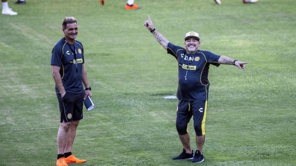 مارادونا: أنا لا أقتل ولا أكذب، وسأحمل فيل على كتفي!