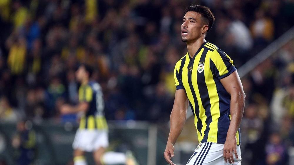 البلجيكيون يقرأون فِنجان مُستقبل نبيل درار