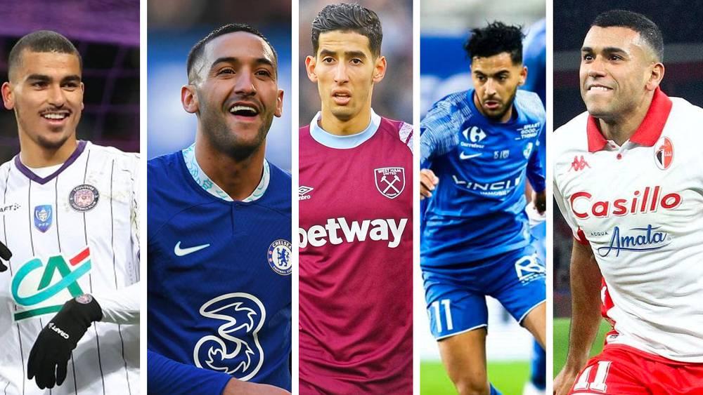 Exclusif - Le tour du Monde des Lions #1